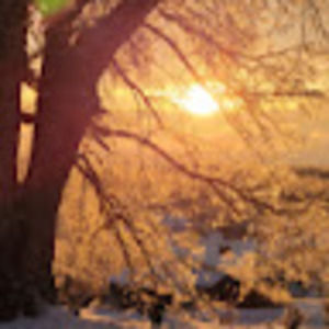 Meet your Posher, Lisa marie